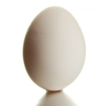 Пословицы про яйцо