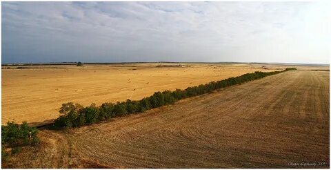 Межа. Межа картинка. Что такое межа в межу. Под межой.