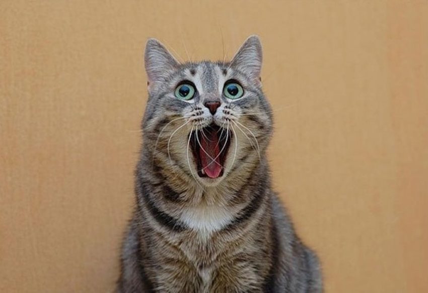 Пословицы про чудо, диво, мудреное