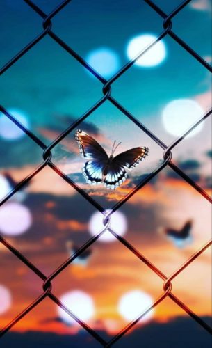 Пословицы о невозможном, недопустимом