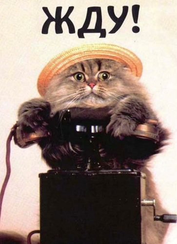 Пословицы на тему "ждать" 