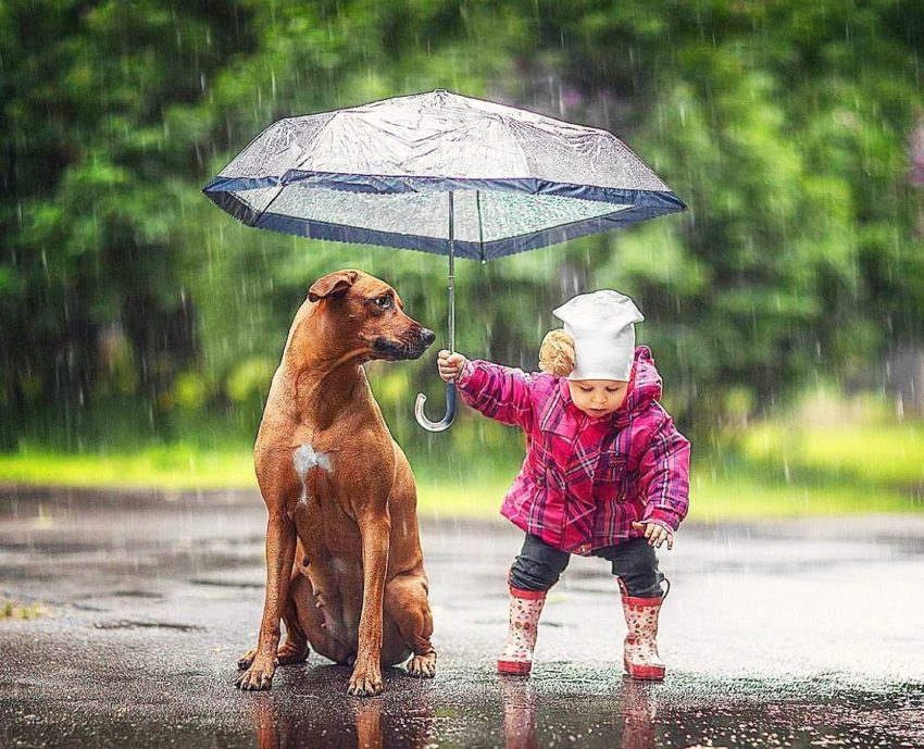 Пословицы на тему "доброе"