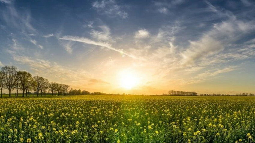 Пословицы про дни