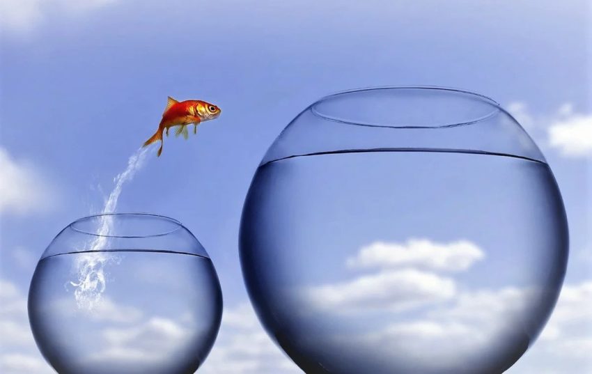 Пословицы на тему "малое"