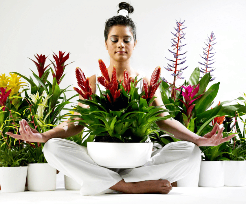 Пословицы про неприхотливость 