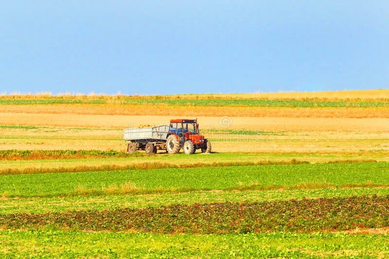 Пословицы о сельскохозяйственном труде 
