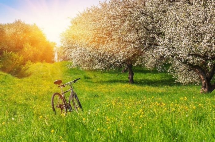 Пословицы про май