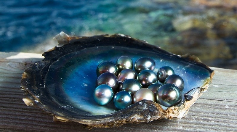 Пословицы про жемчуг