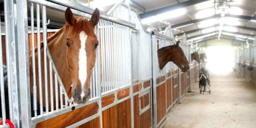 Пословицы про конюшню