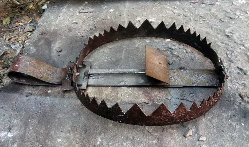 Пословицы про капкан