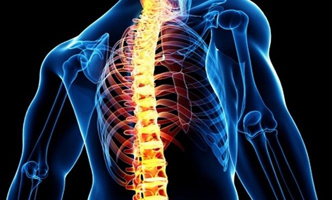 Пословицы про хребет