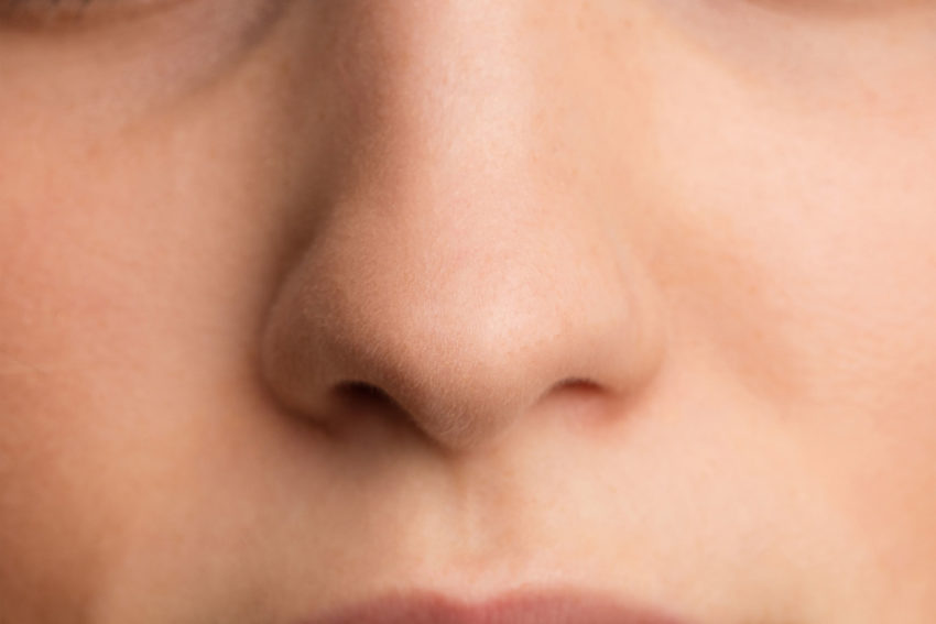 Пословицы про нос