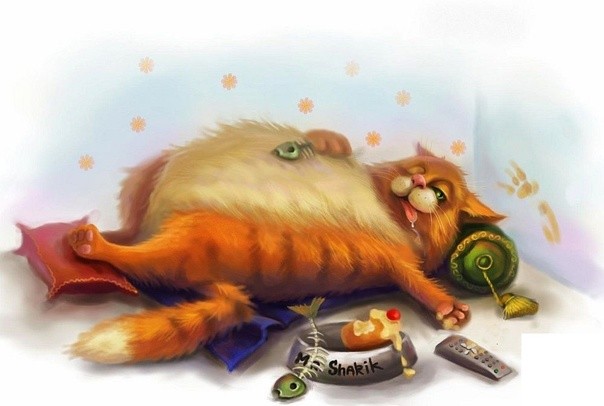 Пословицы на тему "сытый"