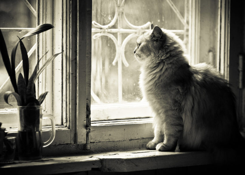 Пословицы про ожидание