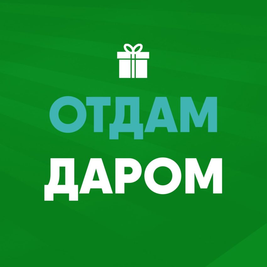 Пословицы на тему "даром"