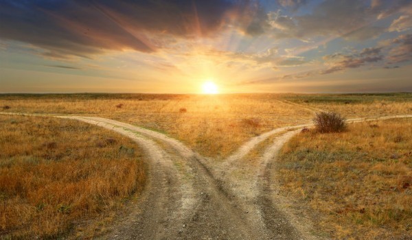 Пословицы на тему кабы, если б