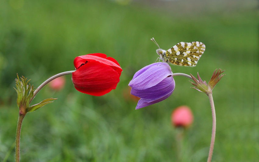 Пословицы на тему "двое"