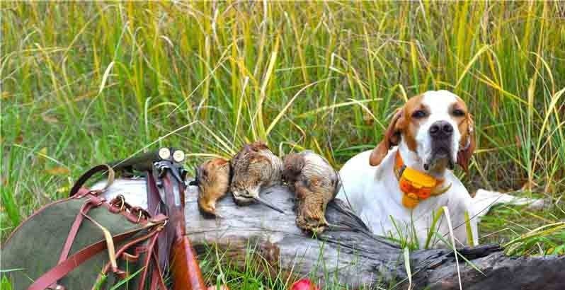 Пословицы на тему "охота"