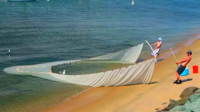 Пословицы про бредень