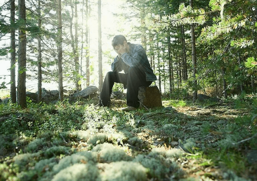 Пословицы на тему "заблудиться"