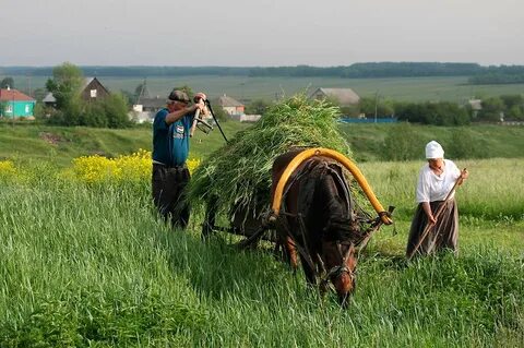 Пословицы о сельском труде и природе
