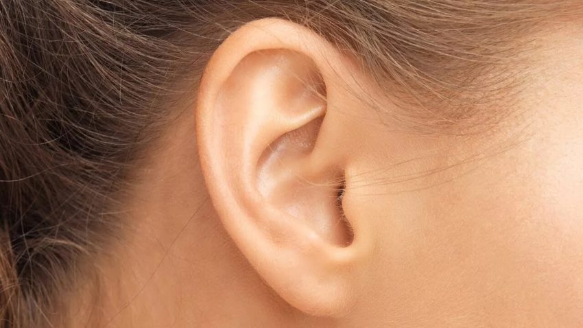 Пословицы про уши
