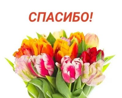 Пословицы на тему "спасибо"