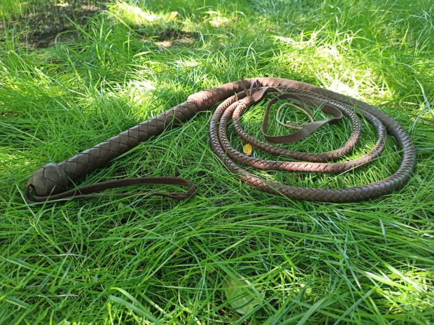 Пословицы про кнут