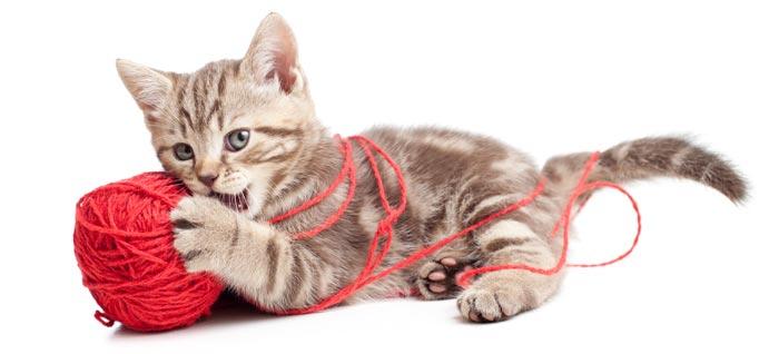 Запутаться