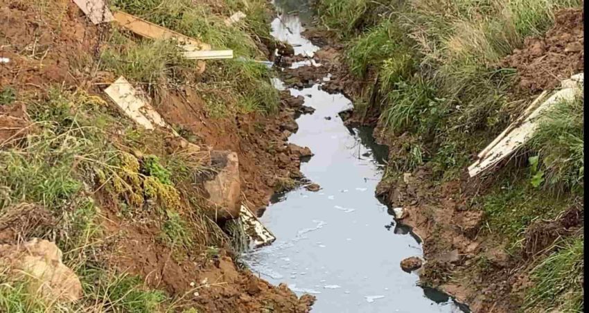 Пословицы про канаву