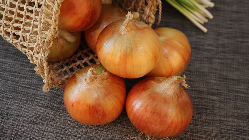 Пословицы про лук